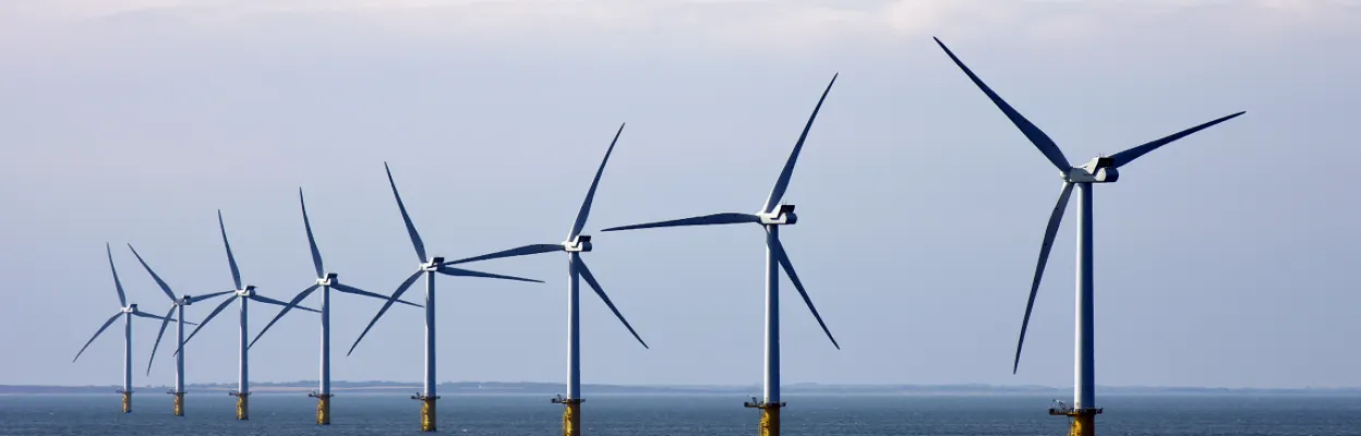 ScotWind Rapid Review