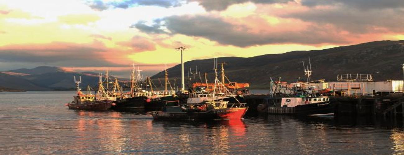 Ullapool Harbour