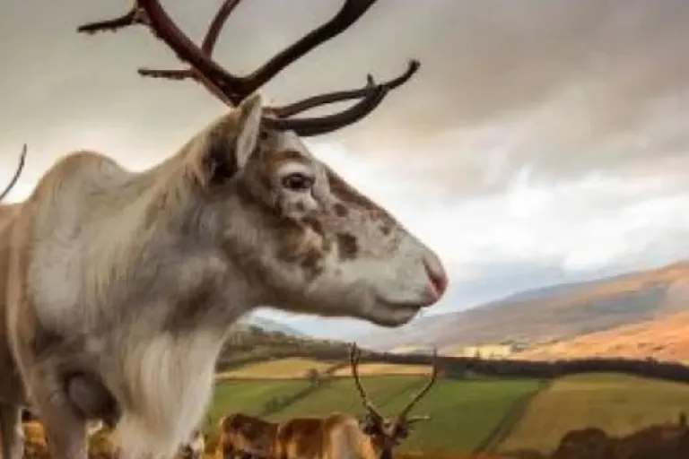 Parliament approves Scottish Crown Estate Bill