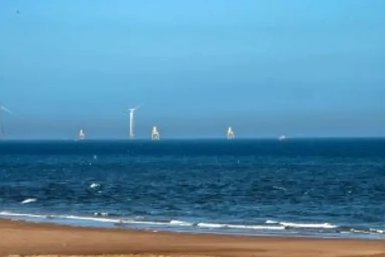 Application window opens for scotwind leasing