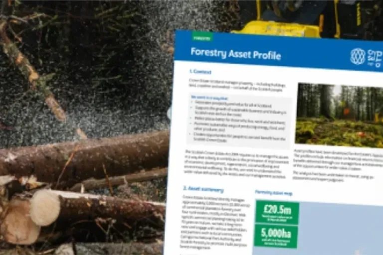 New suite of documents offer fresh insight into use of Scottish Crown Estate