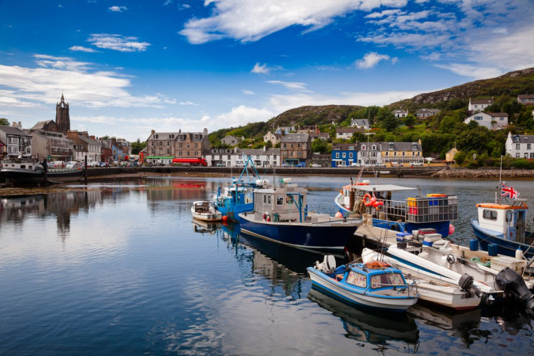 Tarbert harbour