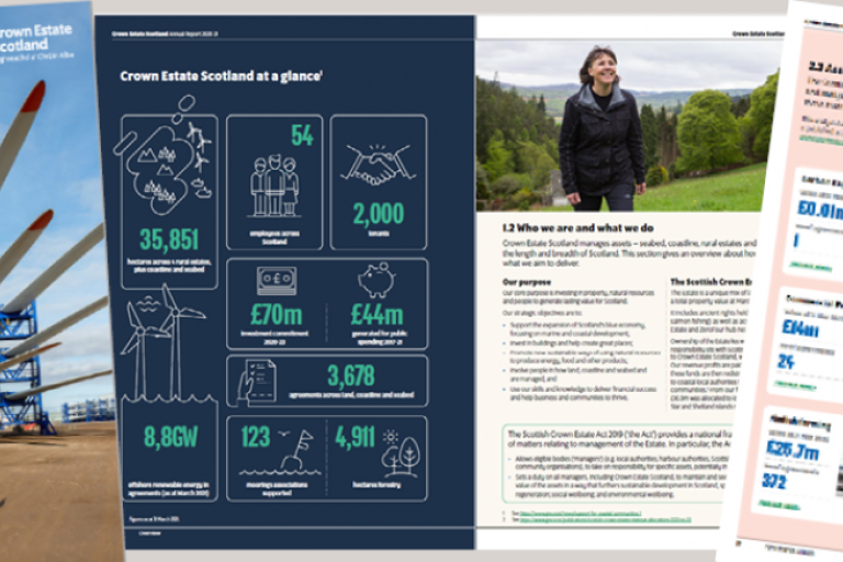 Annual Report and Accounts to 31 March 2021